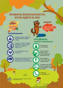 ПРАВИЛА БЕЗОПАСНОСТИ ЕСЛИ ИДЁТЕ В ЛЕС