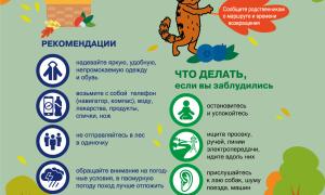 ПРАВИЛА БЕЗОПАСНОСТИ ЕСЛИ ИДЁТЕ В ЛЕС
